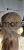 a9b6bf10-eb74-4410-97d4-64c7a120f5edphoto.png