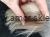 Messenger_creation_9A86BE55-265F-4C7C-8425-AF844FD4B201