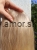 Messenger_creation_21CCF80A-9C76-437A-B0B8-1493C52FD27B