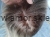 received_8963421350361877