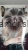 d31f6d49168bc1ae0a9ab30ff72c7e6f_1730899613395_0.webp