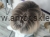 received_968884431884132