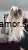 d31f6d49168bc1ae0a9ab30ff72c7e6f_1725273839001_0.webp