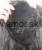 428129771_3723328424654219_535447160117895130_n