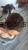att.uAln02ILrJzwwr_3jQx-ROvaCt7AxScfirp_D-0Kf5k