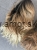 Messenger_creation_F4BB4196-EF3C-42DF-A66E-F59A33F86386.jpeg