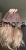 IMG_8657.jpeg