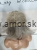 received_1497011275152111.jpeg