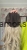 2.jpeg