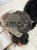 Messenger_creation_AE03D9A9-BE03-4327-99BD-B31A03FBC2CB.jpeg
