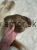 IMG_0358.jpeg
