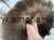 IMG_1401.jpeg