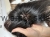 IMG_2095.jpeg