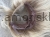 IMG_2200.jpeg