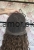 IMG_2362.jpeg