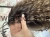 IMG_2632.jpeg