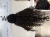 IMG_2944.jpeg