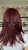 IMG_3398.jpeg