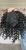 IMG_4011.jpeg