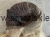 IMG_4097.jpeg