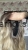 IMG_4131.jpeg