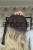 IMG_4121.jpeg