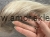 IMG_4792.jpeg