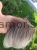 1000063645.jpg