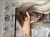 IMG_6975.jpeg