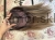 IMG_7487.jpeg