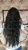 IMG_7954.jpeg