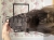 IMG_8690.jpeg